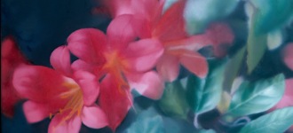 GERHARD RICHTER. VERBORGENE SCHÄTZE