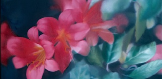 KUNSTPALAST zeigt umfassendste Gerhard Richter-Ausstellung